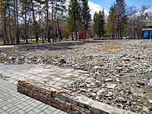 В мэрии Новосибирска объяснили, почему не вывозят мусор после сноса Park Cafe