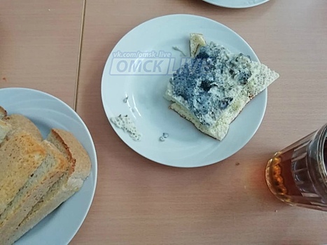 Российских школьников накормили синим омлетом