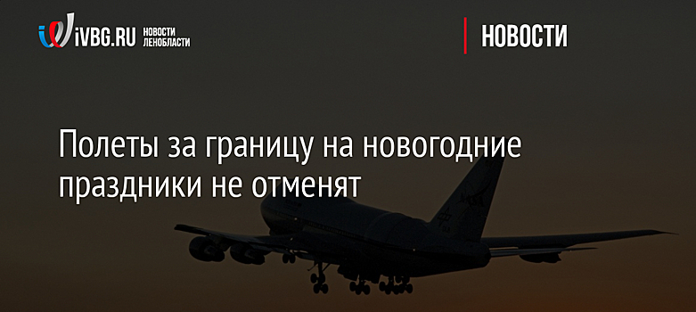 Полеты за границу на новогодние праздники не отменят