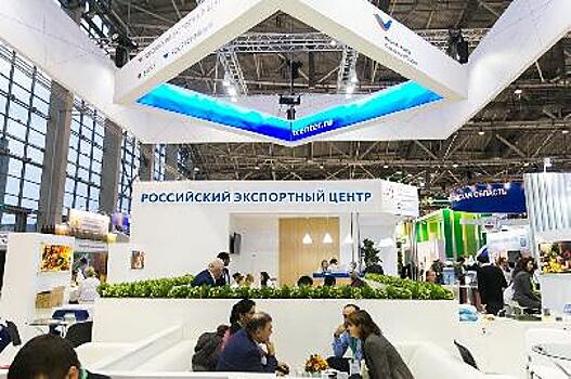 В России запустят федеральную программу рибейтов