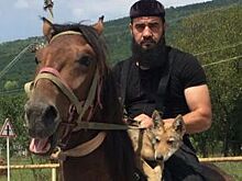 «Настоящий преданный пёс». Как житель Чечни приручил волчонка