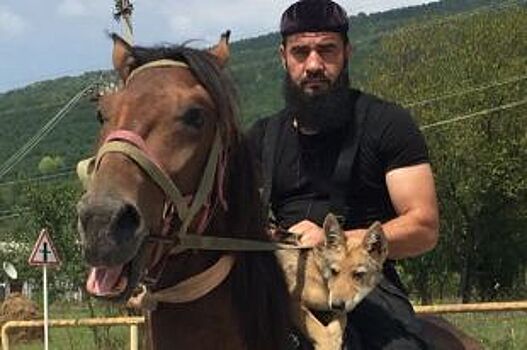 «Настоящий преданный пёс». Как житель Чечни приручил волчонка