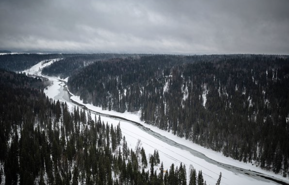 Ничего не нашли. На маршруте исчезнувшей в тайге семьи Усольцевых были смертельные ловушки. Здесь и раньше пропадали люди
