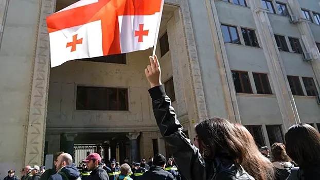 Грузинский политик назвал организатора протестов в Тбилиси
