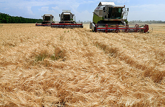 Урожай зерна в России по прогнозам снизится на 20%. Как это повлияет на цены?