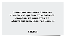 Немецкая полиция защитит членов избиркома от угрозы со стороны кандидатов от «Альтернативы для Германии»