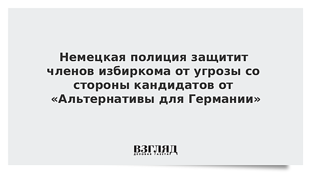 Немецкая полиция защитит членов избиркома от угрозы со стороны кандидатов от «Альтернативы для Германии»