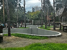 В Новосибирском зоопарке открыли новые вольеры для медведей