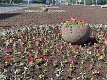 В Оренбурге на кольцевой развязке улиц Чкалова и Степана Разина высаживают цветы
