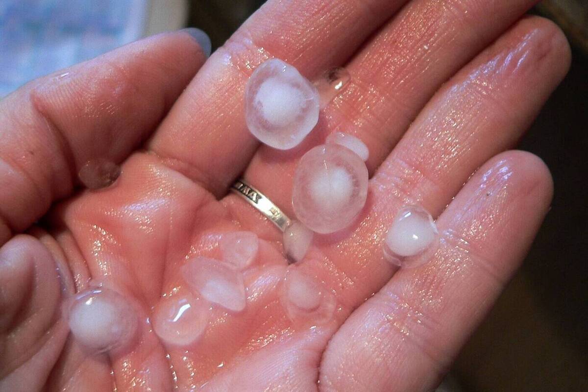 Град и снегопад за один день: что происходит в Сочи