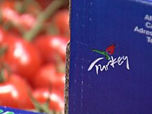 Россельхознадзор проверит турецких производителей томатов