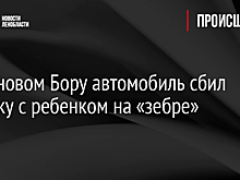 Водитель-иностранец в Ленобласти сбил на зебре коляску с годовалым ребенком