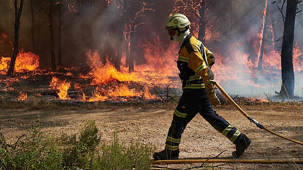 В АТОР объяснили, что делать во время лесных пожаров в Турции