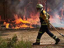 В АТОР объяснили, что делать во время лесных пожаров в Турции