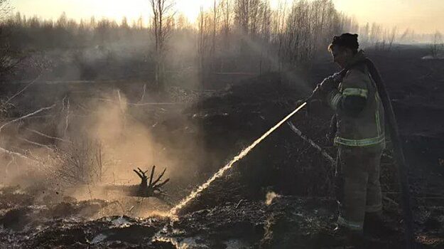 Суд наложил запрет действий на вице-мэра Уяра в Красноярском крае по делу о пожарах
