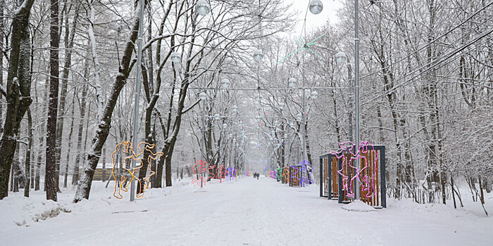 Погода в СНГ: мороз в Беларуси, снег и метель в Армении