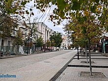 В центре Пензы заработал мобильный интернет