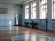 В Госдуме призвали модернизировать школьные спортзалы