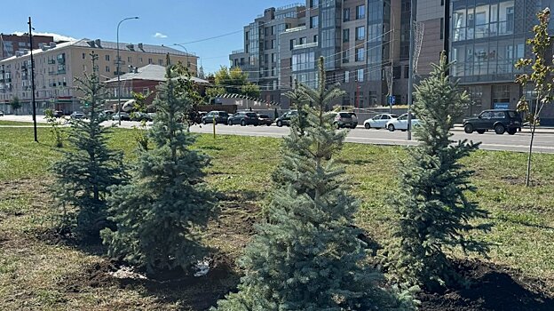 На набережной Суры высадили ели, каштаны и яблони