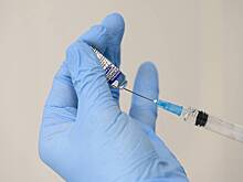 Опрос: 70 процентов австрийцев переживают из-за нового года