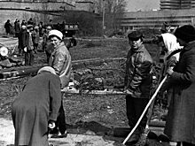 Как в Советском Союзе победили клещей