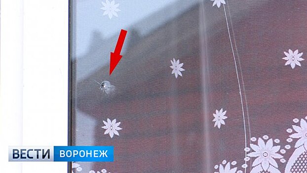 Под Воронежем неизвестные обстреляли 8 частных домов из пневматики