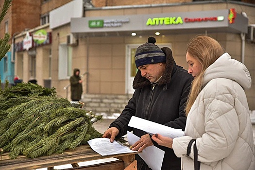 В Курске проверяют места торговли елями