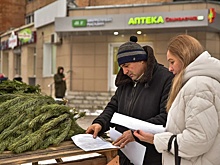 В Курске проверяют места торговли елями