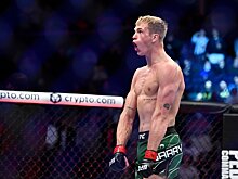 Экс-боец UFC Санчес – об Иэне Гэрри: «Он высокомерен, но в итоге его победит более голодный борец из России или Бразилии»