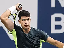 Вторую ракетку мира атаковали пчелы во время матча на турнире ATP