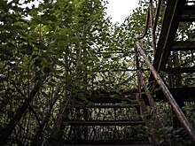 В Индии печально завершился перспективный проект