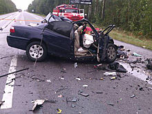 Украинские политологи погибли в ДТП с грузовиком