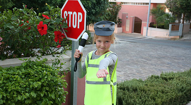 28 мая пройдет профилактическое мероприятие «Маленький пешеход»