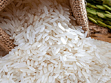 В Астраханской области построят комплекс по выращиванию риса