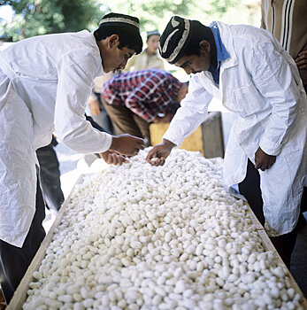 Мирзиёев перекроил шелководческую отрасль