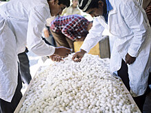 Мирзиёев перекроил шелководческую отрасль