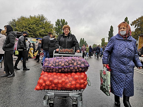 В Курске объяснили высокие цены на картофель на ярмарке