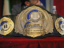 Bellator 244 запланированный на 6 июня перенесён