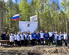 Нижегородцы высадили более 300 тысяч деревьев в рамках акции «Сад памяти»