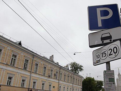 В России предложили внедрить единые правила формирования тарифов и льгот на парковку