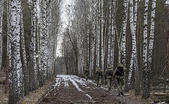 Зеленский дразнит Лукашенко: Киев ставит мины у границы прямо на асфальте