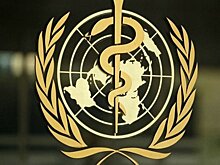 Би-би-си: Эксперты ВОЗ подготовили доклад об опасности пальмового масла