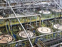 Власти допустили индексацию цен на удобрения в России