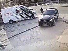 В Туапсе водитель наехал на трех собак