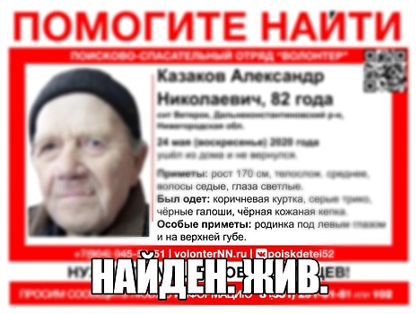 Найден 82-летний Александр Казаков, пропавший в Дальнеконстантиновском районе