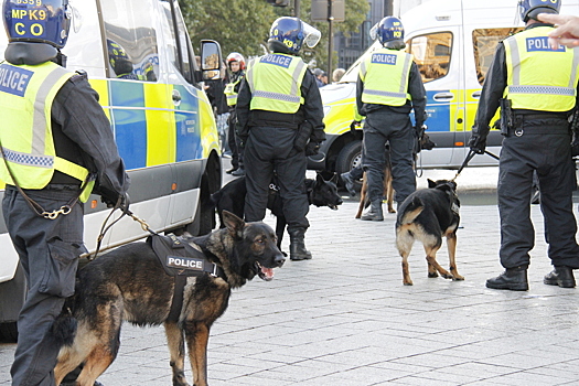 После убийства Чарли Кирка британские спецслужбы «возвели стены» для защиты Трампа
