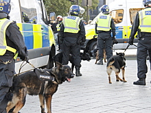 После убийства Чарли Кирка британские спецслужбы «возвели стены» для защиты Трампа