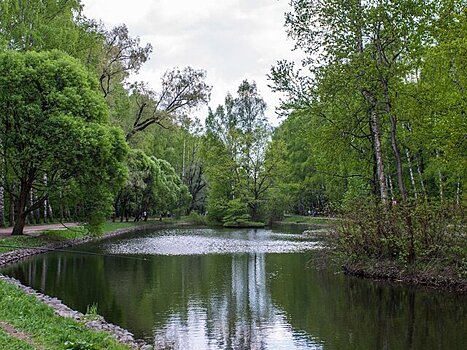 В парке "Сокольники" началась реабилитация пяти Оленьих прудов