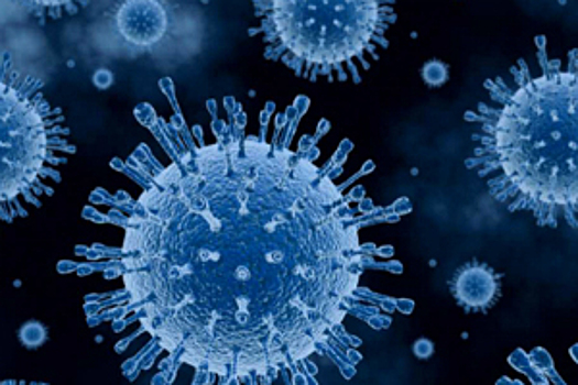 Вирусы-гиганты: ученых испугали микробы, которые больше своих предков в сотни раз