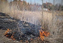 В Свердловской области заявили о локализации большинства техногенных и лесных пожаров